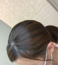 今日インナーカラーをしてきたのですが これってインナーカラーだと分かりま Yahoo 知恵袋