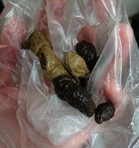 色 便 黄土