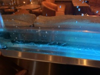 水槽の水面に泡が消えずに残ってしまいます Mどうしてでしょうか Yahoo 知恵袋