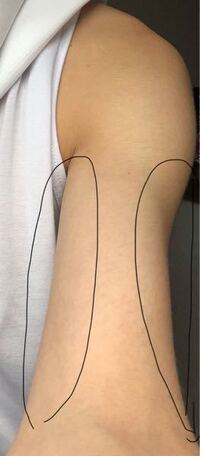 体を正面から見て腕を横に太くするには腕のどこを鍛えればいいのですか Yahoo 知恵袋