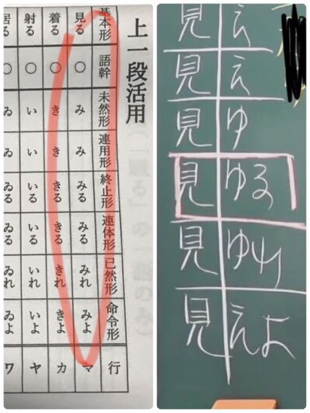 この 見る という語幹の活用表 の違いは何ですか 問題でどう使 Yahoo 知恵袋