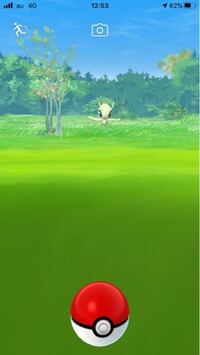 このセレビィ投げても全然入らないんですけどどうやって捕まえるん Yahoo 知恵袋