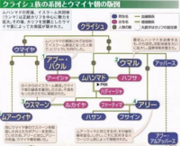 イスラーム教のシーア派についての質問なのですが、なぜシーア派がアリーとその子孫のみを正統と認めるのかが分かりません。 世界史の教科書の説明では｢シーア派は4代目カリフであるアリーとその子孫のみを正統と認める宗派｣とあり、
またその理由をネットで調べると｢アリーとその子孫はムハンマドと血の繋がりがあるから｣との事でした。

ここで疑問なのですが、ムハンマドと血の繋がりがあることを重視するならば...