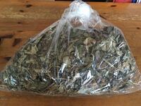 どくだみ茶に根っこを使っても良いか Yahoo 知恵袋