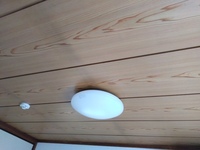 ポケモン剣盾技のこらえるの効果について教えてください Hp1の時にこらえ Yahoo 知恵袋