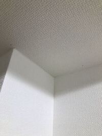 トゲピーとメタモンで産んでも別々に遊んでいるとなるんですが誰か理由を教え Yahoo 知恵袋