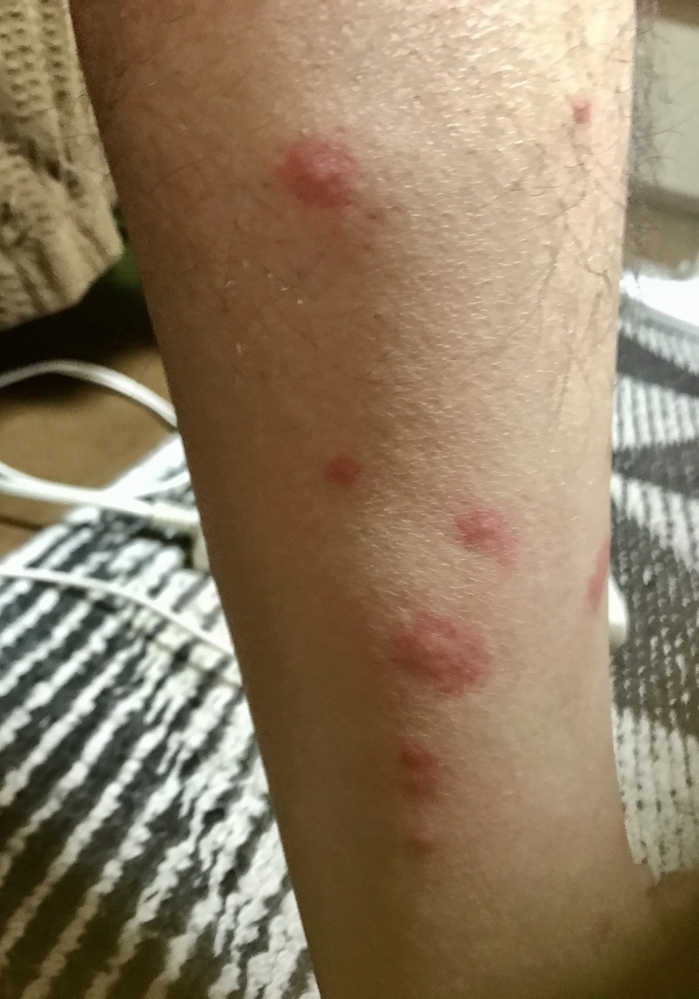 先日 山手の川辺にあるキャンプ場に久々家族で行って来ました Yahoo 知恵袋