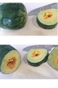 大至急 母が冬瓜だと思って貰ってきた物が 冬瓜ではありません Yahoo 知恵袋