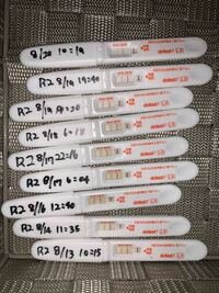 妊娠超初期 排卵検査薬