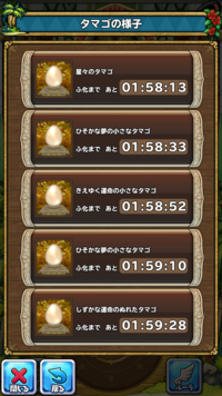 たまご イルルカ