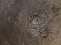 子どもの脚が電動スライドドアに挟まれました 開いたドアの外に Yahoo 知恵袋