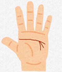 手相占いお願いします 写真のような手相です 写真は左手ですが右手に Yahoo 知恵袋