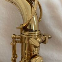 ディズニーで楽器を吹いてる人になるにはどうしたらいいのですか あまり他 Yahoo 知恵袋