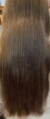 カラーをして3週間3日おきくらいにムラシャンしてました Yahoo 知恵袋