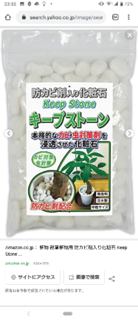 観葉植物を室内で初めて育てようとしています 本当に初心者で心もとないです Yahoo 知恵袋