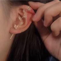 インスタで見つけたんですけど 下は耳たぶの穴に指してて 軟骨部分はフック Yahoo 知恵袋