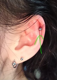 ヘリックスの位置 どうでしょうかあってますか上過ぎ 下過ぎなど Yahoo 知恵袋