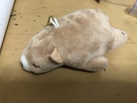 刺繍の糸の始末は普通に玉結びとかではだめですか 裏にも布をつけて縫い目 Yahoo 知恵袋
