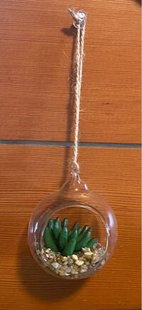 100均に売られている丸い硝子容器に入った吊り下げられる観葉植物について Yahoo 知恵袋
