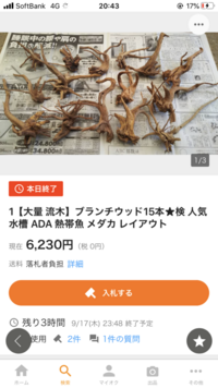 ヤフーオークションで流木が売られていますが流木を拾い売るのはセーフなんで Yahoo 知恵袋