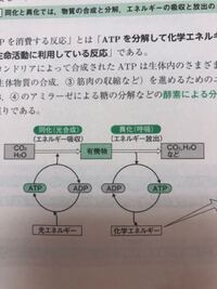 有機物と無機物がよく分からないので小学生でもわかるように説明 Yahoo 知恵袋