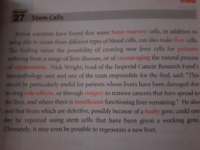 英語の文構造を教えてください すみません 暗くて見づらい Yahoo 知恵袋