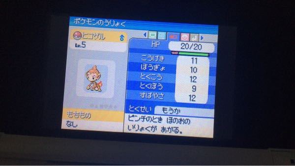 100以上 ポケモン ムックル 性格 ポケモン ムックル 性格