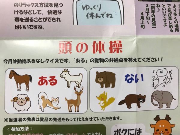 最も選択された ある なし クイズ 動物 折り紙 動物