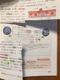 どなたか高校生物基礎の教科書のページ見してくださいませんか 過去に自分で Yahoo 知恵袋