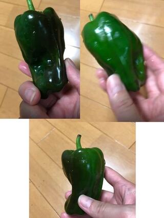 ピーマン 黒い ピーマン 黒い点々