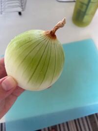タマネギの緑色のところは捨てますか カレーを作る時にタマネギ Yahoo 知恵袋