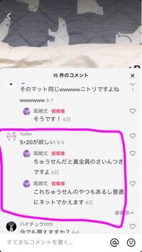 嵐の5 のコンサートで販売していたバックは嵐のサイン付きのが抽選で当 Yahoo 知恵袋