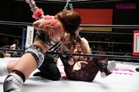 女子プロレス団体スターダムの選手同士の仲ってどうなのでしょうか Yahoo 知恵袋