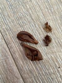 アリウムギガンチュームを植えて 毎年掘り上げていますが 掘り上げると4 Yahoo 知恵袋