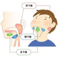 左側の顎下線が左に首をひねったり 押すと痛いです 原因がわかる方いらっし Yahoo 知恵袋