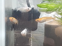 すぐに嫉妬して 敵意を抱いてくるママ友の扱いについて 30代専業主婦で Yahoo 知恵袋