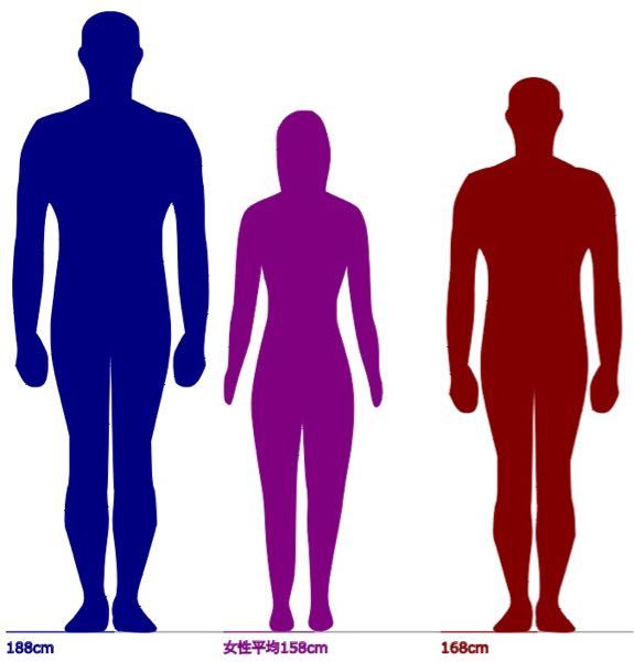 168cmの男よりも1cmの男がモテるのは 紛れもない事実ですか Yahoo 知恵袋