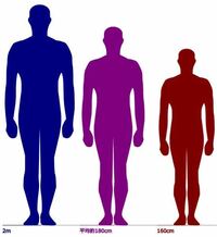 アメリカ人 白人男性 の平均身長は180cmほどですが 2m以上と Yahoo 知恵袋