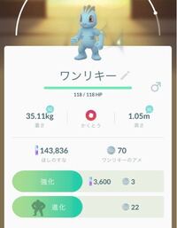 ポケモンhgssでワンリキーを育てたいのですが ゴーリキーからカイリキ Yahoo 知恵袋