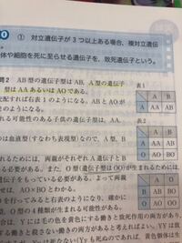 ａ型はaaとaoですが B型もbbとboと表されるのですか と Yahoo 知恵袋