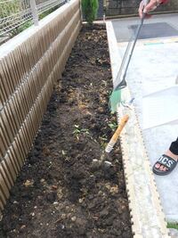 新築の庭の石除去について質問です 先ほど庭木のお手入れ業者に電 Yahoo 知恵袋