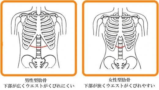 最も共有された ハードゲイナー 女性 ハードゲイナー 女性 芸能人