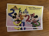 ディズニーのチケットについて質問です 指定入園日のある2デーパスポ Yahoo 知恵袋