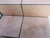 屋外の玄関タイルの黒ずみ汚れを落とす方法を教えて下さい Yahoo 知恵袋