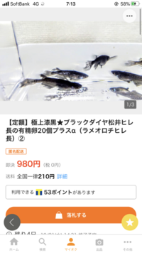 Tvを見ているとたまにある 意味不明のボカシについて教えてください Yahoo 知恵袋