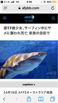 オーストラリアのサメに噛まれて死亡する事件は 日本でもあるいは 地球温暖 Yahoo 知恵袋