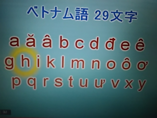 ベトナム語のこの29文字は 音声記号そのものですか それとも 独自のベト Yahoo 知恵袋