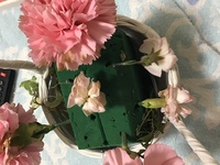 カーネーションが蕾のまま茶色く変色してしまいます母の日にもらったカーネーシ Yahoo 知恵袋