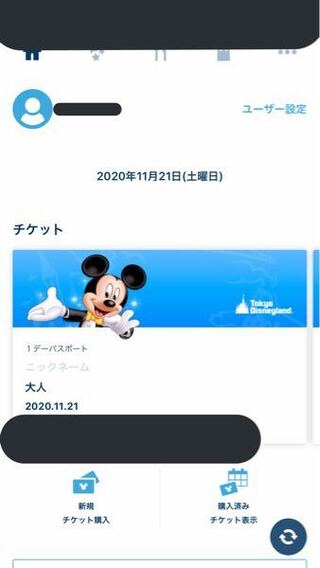 ディズニートラベルバッグでチケット購入について パソコンからディズニ Yahoo 知恵袋