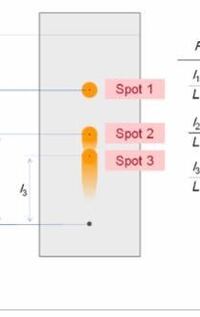 Tlcクロマトグラフィー実験 画像のspot3のようにきれ Yahoo 知恵袋